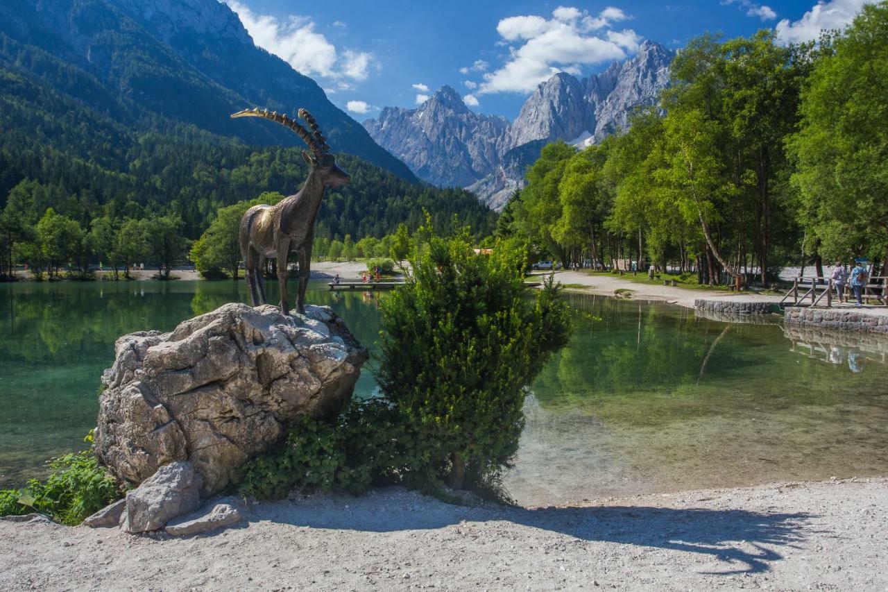 Apartmaji Tina Zgornje Gorje Luaran gambar
